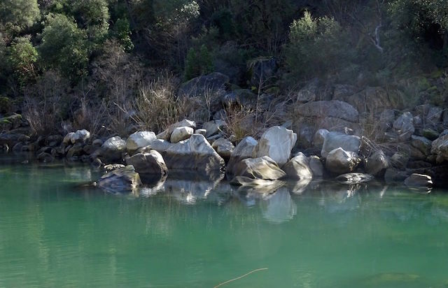Yuba River, California - image by Sharon Gordon