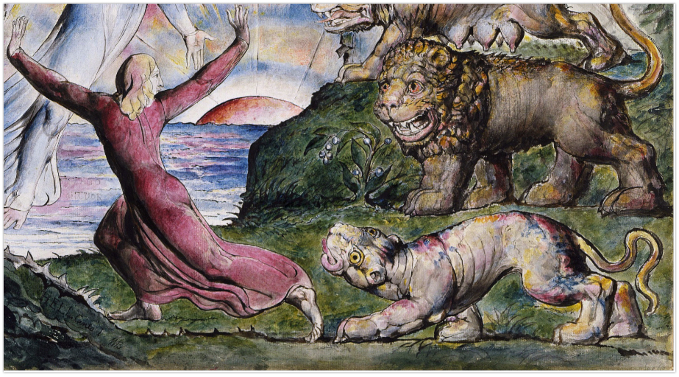 The steward, perspectives on awakening
