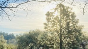 The light, Living in Two Worlds, Fellowship of Friends, FourthWayToday