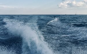 Waves, FourthWayToday, Fellowship of Friends, Robert Earl Burton